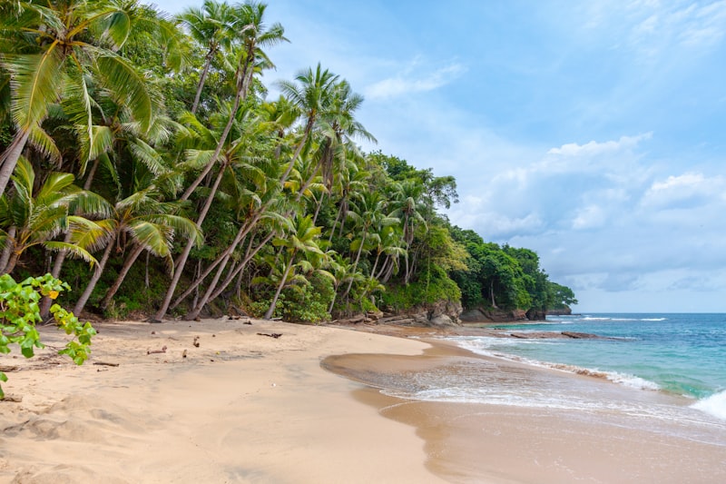 Aerial view of tropical island coastline with turquoise water