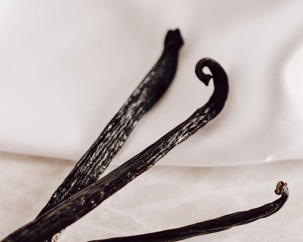 Ceylon vanilla pods on white cloth